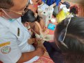 Imunisasi Campak Rubella untuk Suku Pedalaman
