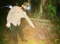 Heboh Penemuan Kerangka di Kebun Sawit, Cincin Perak dan Ikat Rambut jadi Petunjuk