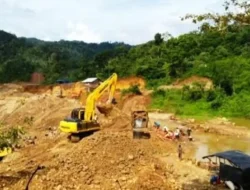 PETI Menggila, WALHI Ungkap 44 Ribu Hektare Hutan Jambi Rusak dan Sungai Batanghari Tercemar Merkuri