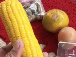 Viral di Jambi: Menu MBG di Bulan Suci Ramadhan Dipertanyakan Warganet, Isi Jagung & Telur Jadi Sorotan