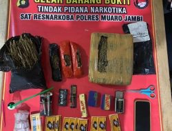 Polres Muaro Jambi Ringkus Pengedar Ganja 1,4 Kilogram