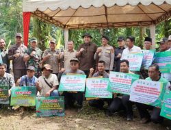 Luas Tanam Sawah di Merangin Naik 11 Persen, Bupati M Syukur Pacu Bantuan Alsintan dan Infrastruktur