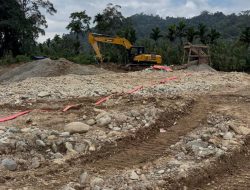 Lapor Pak Bupati, TKD Pulau Lebar Hancur Digarap Peti, Tanaman Jagung Terancam Gagal, Diduga Oknum Kades Terlibat