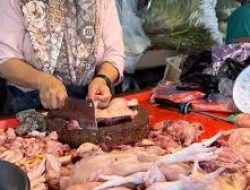 Harga Sembako di Pasar Angso Duo Jambi Relatif Stabil, Ayam Broiler Naik dan Cabai Rawit Merah Turun