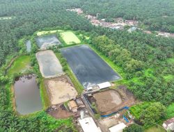 Dua PLTBg Ini Jadi Andalan PalmCo Tekan Biaya Energi di Tengah Gejolak Global