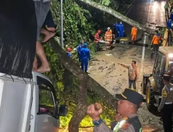Longsor di Jalur Sungai Penuh–Tapan, Akses Truk Terhambat dan 4 Titik Terdampak