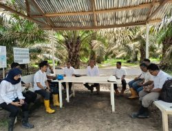 PTPN IV Regional IV Tekankan Operational Excellence untuk Dongkrak Produksi Sawit di Jambi dan Sumbar