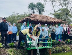 IKBI PTPN IV Tebar 1.500 Bibit Ikan Nila di Kerinci, Dukung Ketahanan Pangan dan Atasi Stunting