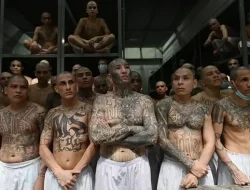 486 Bos Geng MS-13 Diadili, Terungkap Motto Kejam: Bunuh, Perkosa, Kendalikan