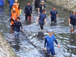 Berburu Ikan Sapu-sapu di Jakarta untuk Dikubur