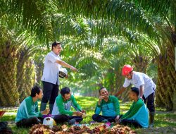 PalmCo Serap 70 Ribu Tenaga Kerja, Bidik Peluang Baru dari Hilirisasi Sawit