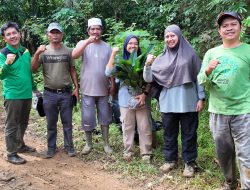 Tim peneliti dari Kementerian Agama Republik Indonesia (MORA) melakukan eksplorasi tanaman obat di sejumlah selama ini dimanfaatkan masyarakat secara turun-temurun.