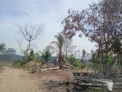 Pemerintah Mesti Serius Menangani Bencana Ekologis Sumatera: Mengedepankan Tata Kelola Lingkungan dan Pemenuhan Hak Korban atas Hunian & Layanan Dasar Sesuai SPHERE Standar