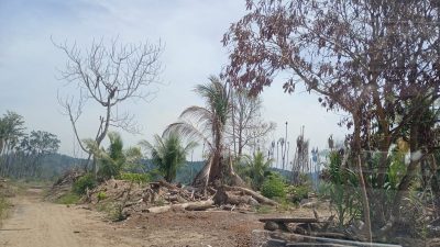 Pemerintah Mesti Serius Menangani Bencana Ekologis Sumatera: Mengedepankan Tata Kelola Lingkungan dan Pemenuhan Hak Korban atas Hunian & Layanan Dasar Sesuai SPHERE Standar