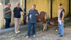 Hari Raya Kurban 1447 H, Golkar Jambi Hadir untuk Rakyat, Sembelih 10 ekor Sapi dan 4 ekor Kambing 