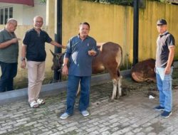 Hari Raya Kurban 1447 H, Golkar Jambi Hadir untuk Rakyat, Sembelih 10 ekor Sapi dan 4 ekor Kambing 