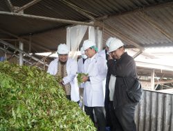 Dewan Komisaris PTPN IV PalmCo Tinjau Keandalan Operasi dan Dukung Peningkatan Kualitas Produksi di Kebun Danau Kembar dan Kayu Aro