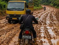 Dinas PUPR Sarolangun Usulkan Anggaran Hampir Rp 100 Milyar untuk Pembangunan Jalan ke Wilayah Bukit Bulan 