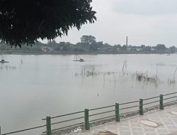 Pagi yang mendung di Danau Sipin tak menyurutkan aktivitas warga.