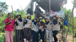 Jagung sebagai Salah Satu Harapan Penggerak Ekonomi Masyarakat Dusun Mudo, Kecamatan Taman Rajo.
