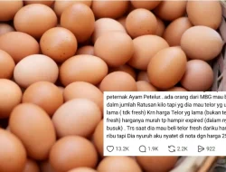 Peternak Ayam Ungkap Dapur MBG Mau Beli Telur Nyaris Busuk, Harga Ditekan Rp21 Ribu