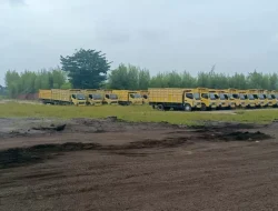 Muaro Jambi Terjepit Industri: 12 Stockpile Batu Bara Ganggu Upaya Masuk UNESCO