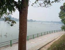 Pesona Danau Sipin Jambi di Tengah Kabut, Jadi Tempat Favorit Warga Jalan Santai