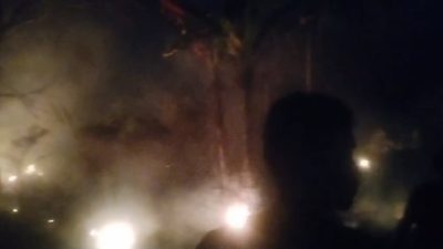 Kebakaran Lahan Terjadi di Malam Hari, Api dan Asap Tebal Lampaui Pohon