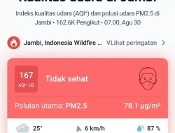 Dengan kondisi ini, Jambi sempat menempati peringkat 1 kota dengan kualitas udara terburuk se-Indonesia