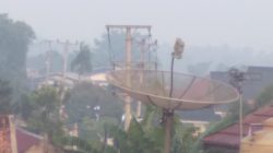 Asap Tebal Karhutla Selimuti Jambi, Sekolah Kembali Diperpanjang Daring Hingga 4 September