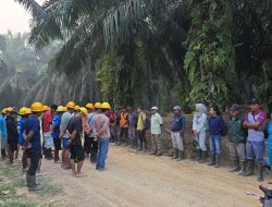 Produksi Kebun Bukit Kausar Tumbuh Positif, Perbaikan Operasional dan SDM Jadi Kunci