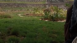Langit mendung selimuti kampus suasana kampus UIN STS jambi terlihat tenang 