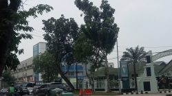 Kabut asap di jelutung mulai berkurang jarang pandang kembali normal