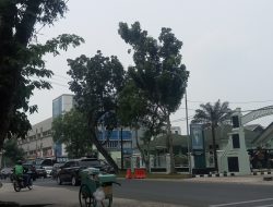 Kabut asap di jelutung mulai berkurang jarang pandang kembali normal