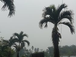 Kabut Asap Tutupi Jambi Pandang Cuma Beberapa Meter