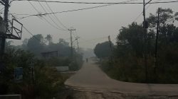 Kabut asap kembali tutupi jalan Jambi jarak pandang menipis