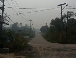 Kabut asap kembali tutupi jalan Jambi jarak pandang menipis