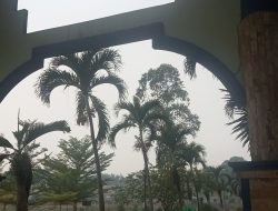 Apakah kabut asap sudah hilang langit Jambi kelabu . mahasiswa UIN ata keluhan udara Tak sehat