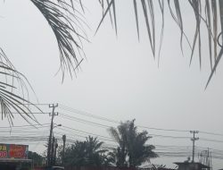 Mendalo gerimis warga berharap jadi awal.berakhirnha kabut asap yang menyesahkkan