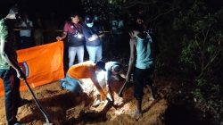 Geger Tengah Malam di Jambi, Warga Temukan Sesuatu di Pinggir Jalan, Polisi Pasang Police Line