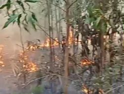 Kebakaran lahan kembali terjadi asal tebal