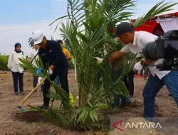Target PSR Jambi 7.800 Hektare, Merangin Baru 144 Hektare, Produktivitas Jadi Taruhan