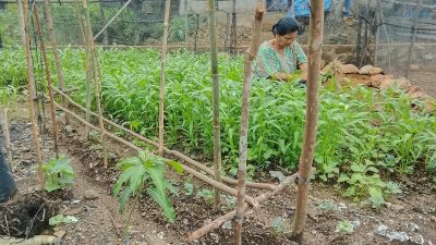 PERMAMPU Dorong Kepemimpinan Perempuan Petani & Pulihkan Lahan Pertanian Pangan Paska Bencana Ekologis Sumatera
