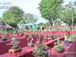 Pameran Nasional Bonsai Kota Jambi 2026 Resmi Dibuka, Diikuti 346 Pot